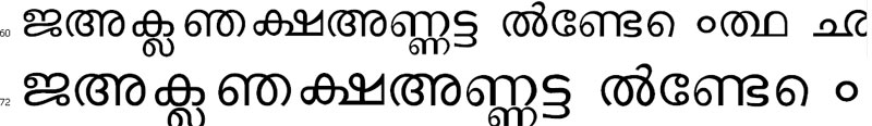 DVMalayalam Bangla Font