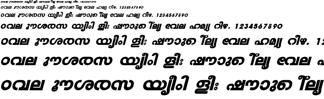 FML-TT-Veena Heavy Italic Malayalam Font